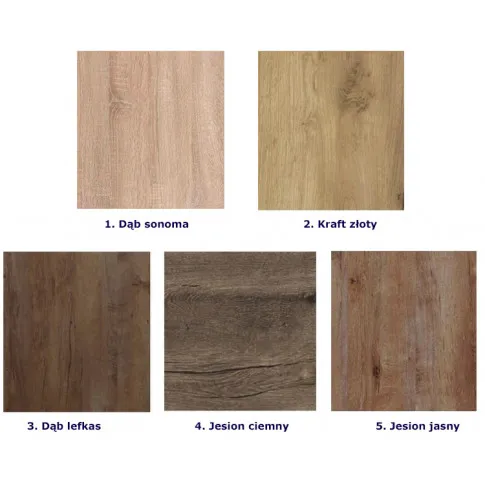 Dostępne opcje kolorystyczne szafy przesuwnej Almira