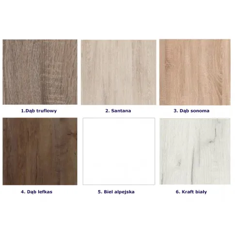 Dostępna kolorystyka szafy przesuwnej Horten