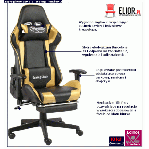 Złoty fotel Divinity: infografika