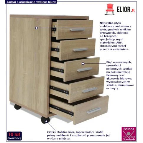 Biurowa szafa Malkena: infografika