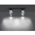 Czarna nowoczesna lampa sufitowa D080-Taris