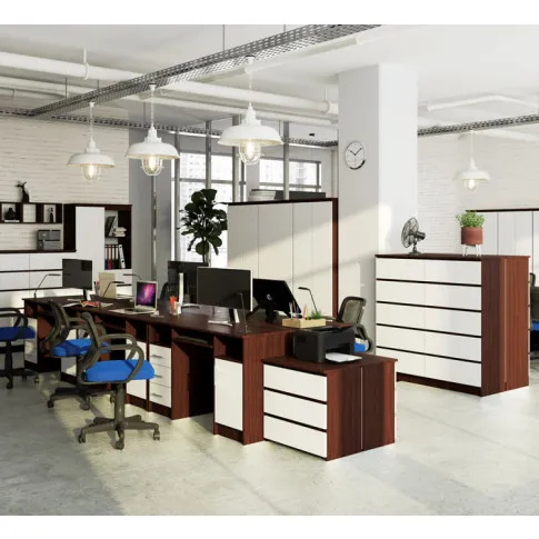 Biurko do komputera wenge z białym Delian 2X