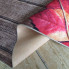 Nowoczesny brązowy dywan jesień Notrix