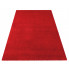 czerwony elegancki dywan do salonu Bernis 2X