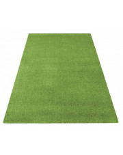Zielony prostokątny dywan do salonu - Bernis 2X w sklepie Edinos.pl