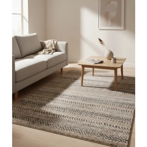 Beżowy prostokątny dywan do przedpokoju   Klaro 5X