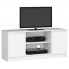 Biała szafka pod telewizor z półkami - Darius 3X 120 cm