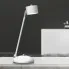 Stojąca lampka na biurko N021 Circile