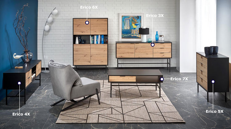 Komplet industrialnych mebli do salonu Erico