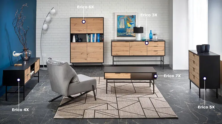Komplet industrialnych mebli do salonu Erico