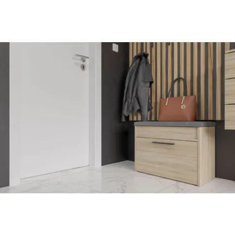 Wizualizacja wnętrza z szafką Triso 3X dąb sonoma