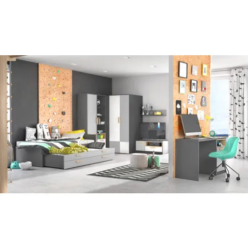 Wizualizacja kolekcji POK