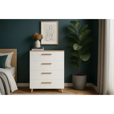 Wizualizacja komody Asva