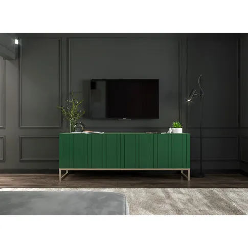 Wizualizacja z zieloną szafką rtv Irving 5X