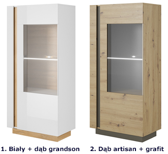 Kolorystyka witryny Apso 5X