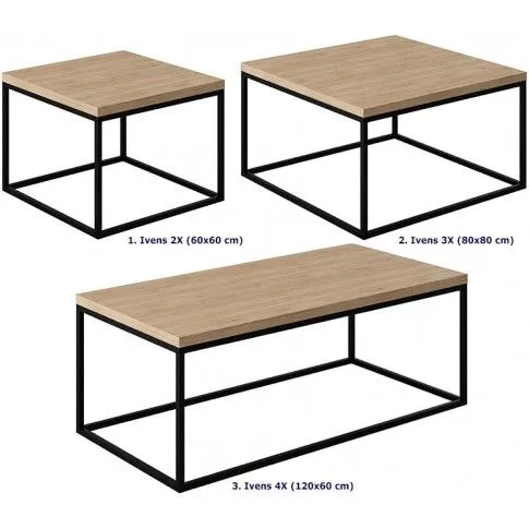 Szczegółowe zdjęcie nr 4 produktu Stolik kawowy Landu 2X - dąb