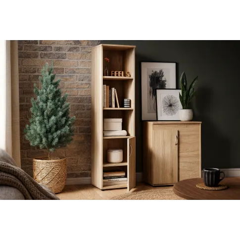 Wizualizacja regał Romo