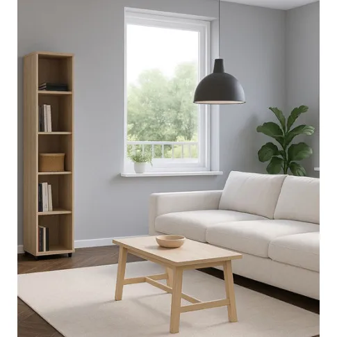 Wizualzcja regału Etop