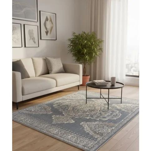 Elegancki dywan do salonu   Frew 11X