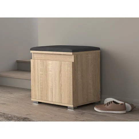 Wizualizacja szafki na buty Ekori 3X dąb sonoma szary