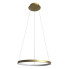 Złota lampa wisząca w kształcie ringu 40 cm - V083-Monati
