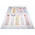 Szaro-kolorowy dywan edukacyjny z tabliczką mnożenia - Asan 4X