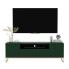 Zielona stojąca szafka pod TV z lamelami - Irving 7X