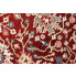 Czerwony klasyczny dywan z frędzlami Iraz 8X