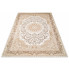 Stylowy beżowy dywan w nowoczesnym stylu - Nena 6X