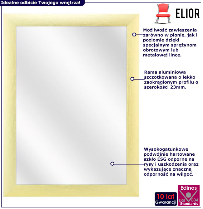 Infografika złotego lustra w ramie ze szczotkowanego aluminium Alunis