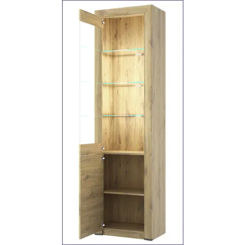 Regał z witryną do pokoju Lacar 20X