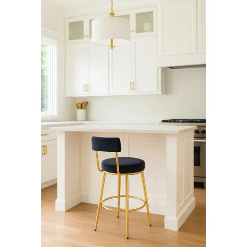 Wizualizacja czarnego hokera Hikari