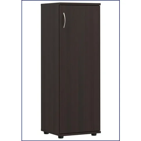 Biurowy regał z drzwiczkami Lepus kolor wenge