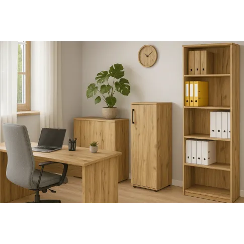 Wizualizacja regału Lakris dą craft