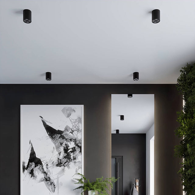 Czarny minimalistyczny spot sufitowy A406-Pizo