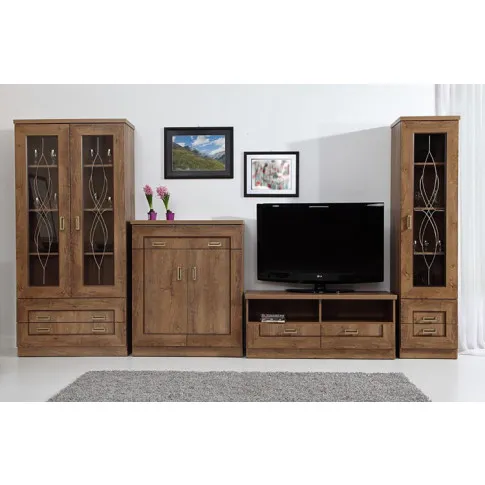 Zdjęcie witryna jednodrzwiowa do salonu dąb lefkas Lorines 11X | Edinos.pl