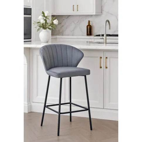 Wizualizacja hokera Astrax