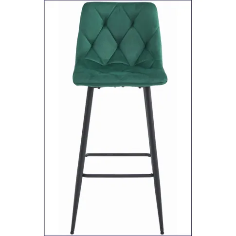 Ciemnozielony hoker metalowy z oparciem Efir