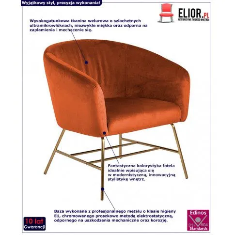 Fotografia Fotel muszelka Darus 2X - pomarańczowy z kategorii Pozostałe fotele