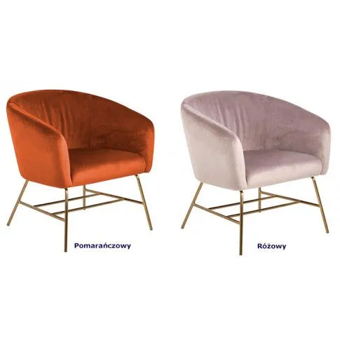Szczegółowe zdjęcie nr 4 produktu Fotel muszelka Darus 2X - pomarańczowy