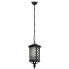 Czarna elegancka lampa wisząca tarasowa A446-Egra