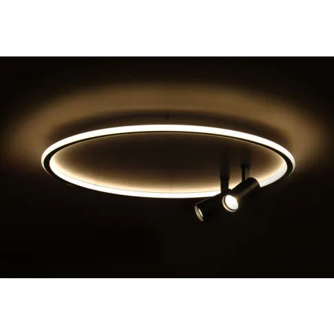 Plafon z dwoma reflektorami Akir