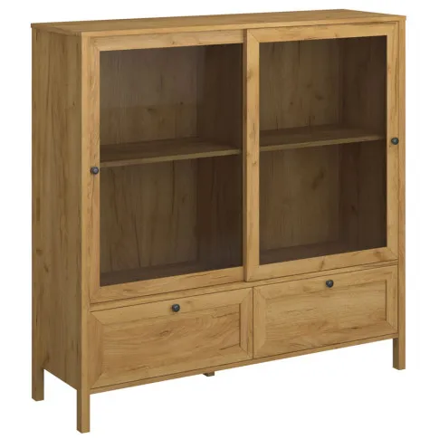 Niska dwudrzwiowa witryna Aziax 12X