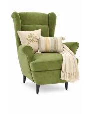 Jasnozielony fotel wypoczynkowy do salonu - Risten w sklepie Edinos.pl