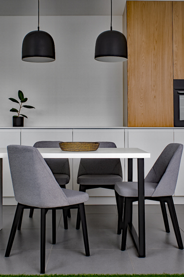 Wizualizacja krzesła Fima