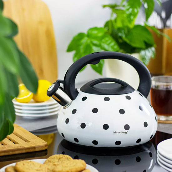 Prezentacja czajnika Lerton 6X 