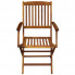 krzesło z kompletu mebli ogrodowych tony 2x