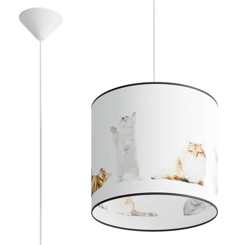 Dziecięca lampa sufitowa z motywem kotków A590-Hixa
