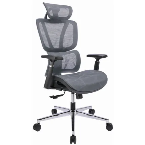 Szary ergonomiczny fotel biurowy Aragos 3X