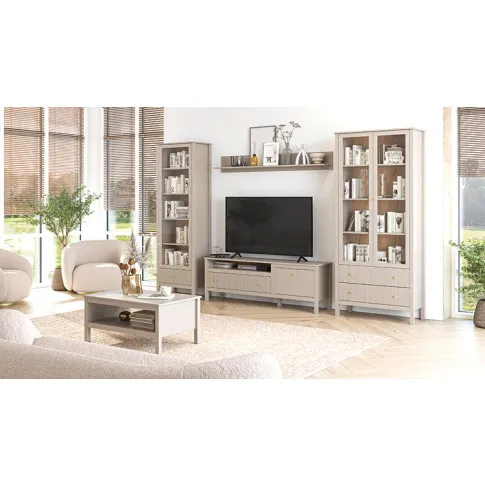 Wizualizacja wnętrza z meblami Onelix